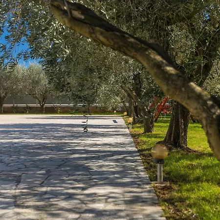 Tatil Evi Berg